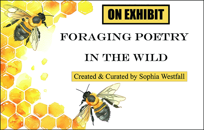 Image of two bees and honeycomb with the words "On Exhibit at Robeson Library: Foraging Poetry in the Wild; Created & Curated by Sophia Westfall"